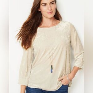 J. Jill Women’s Small Crushed-Velvet A-Line Top in Moonbeam Pullover Soft Comfy
